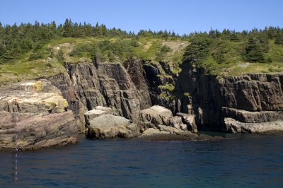 Witless Bay South Head pict4347.jpg