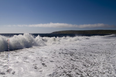 Biscay Bay pict4383.jpg