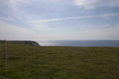 Réserve écologique de Cape St Marys pict4408.jpg
