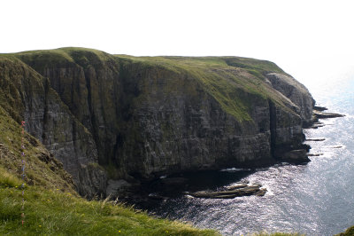 Réserve écologique de Cape St Marys pict4415.jpg