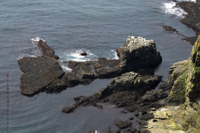 Réserve écologique de Cape St Marys pict4416.jpg