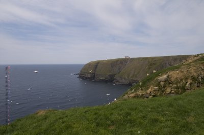 Réserve écologique de Cape St Marys pict4450.jpg