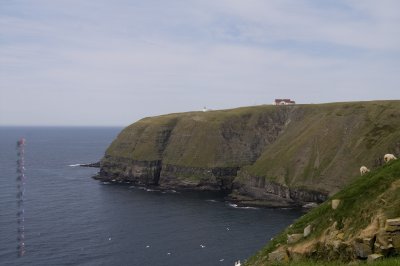 Rserve cologique de Cape St Marys pict4451.jpg