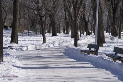 Parc Lafontaine pict7313.jpg