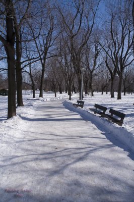 Parc Lafontaine pict7314.jpg