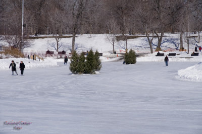 Parc Lafontaine pict7317.jpg