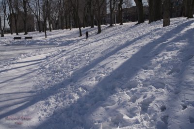 Parc Lafontaine pict7320.jpg