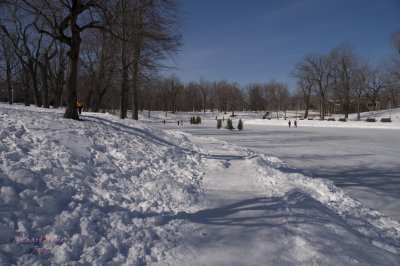 Parc Lafontaine pict7321.jpg