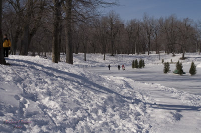 Parc Lafontaine pict7322.jpg