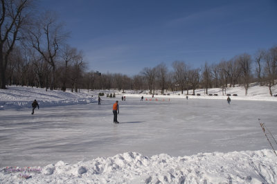 Parc Lafontaine pict7323.jpg