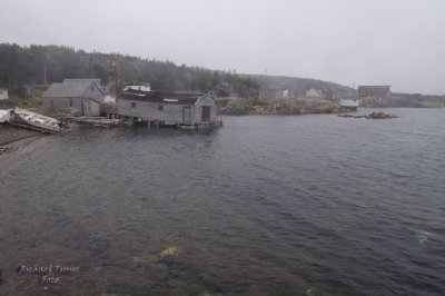 Twillingate Island, Little Harbor pict4503.jpg