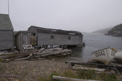 Twillingate Island, Little Harbor pict4506.jpg