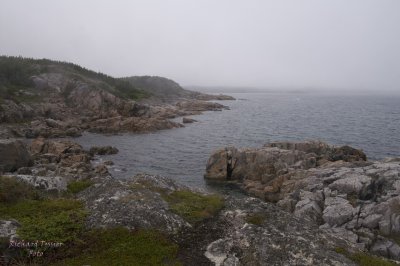 Twillingate Island, Little Harbor pict4516.jpg