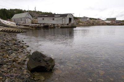 Twillingate Island, Little Harbor pict4530.jpg