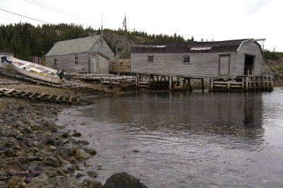 Twillingate Island, Little Harbor pict4533.jpg