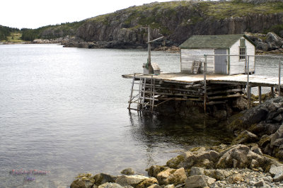 Twillingate Island, Little Harbor pict4558.jpg