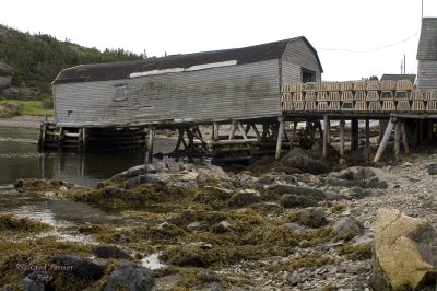 Twillingate Island, Little Harbor pict4559.jpg