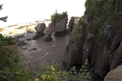 Nouveau Brunswick, La route de retour, Baie de Fundy pict4698.jpg