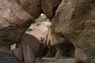 Nouveau Brunswick, La route de retour, Baie de Fundy pict4717.jpg