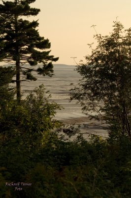 Nouveau Brunswick, La route de retour, Baie de Fundy pict4745.jpg