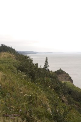 Nouveau Brunswick, La route de retour, Baie de Fundy pict4765.jpg