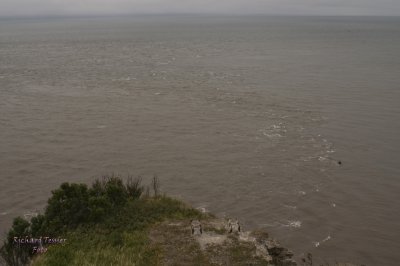 Nouveau Brunswick, La route de retour, Baie de Fundy pict4767.jpg