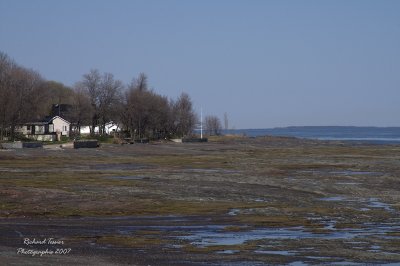 le dOrlans - Les berges pict0132.jpg