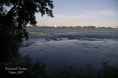 Montral La charmeuse