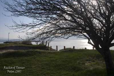 Petite Rivire St Franois pict0075.jpg