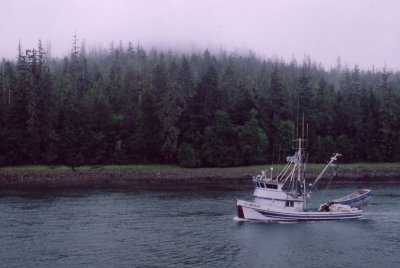 g6/46/664246/3/70937400.jBDhIh9Q.jpg