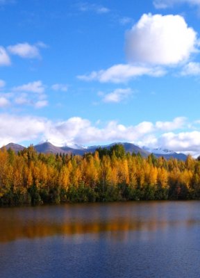 University Lake