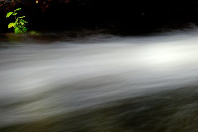 Small River Bjrkn
