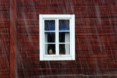 Hailstorm