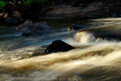 Small River Bjrkn