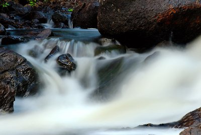 Small River Bjrkn