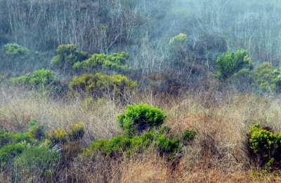 landscapes