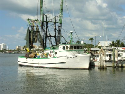 Working Boat