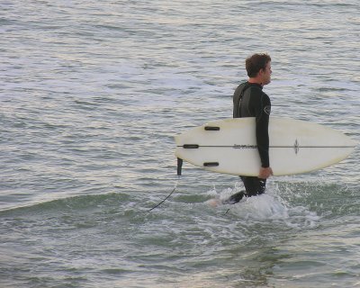 Surfer Entering Ocean