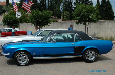 Mustang profil