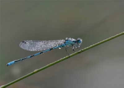 g6/46/749246/3/74169207.gdHE7XAk.jpg