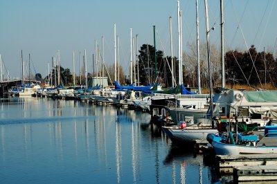 Boats1.JPG