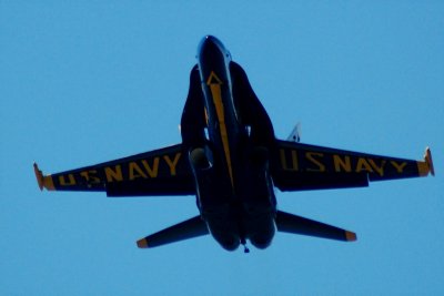 Blue angles 4.JPG