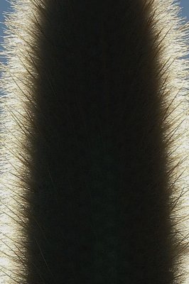 g6/46/750946/3/87019998.OGxawfwz.jpg