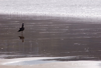 Solitude