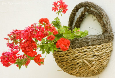 Patio Basket