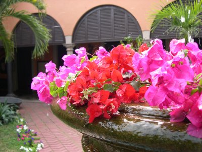 Hotel Courtyard, El Fuerte