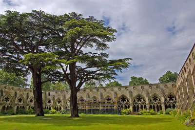 Central Cloisters