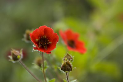 CasaMiaBeacon_020807_067.jpg