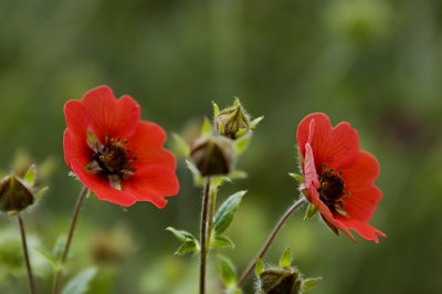 CasaMiaBeacon_020807_066.jpg