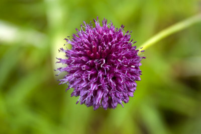CasaMiaBeacon_020807_062.jpg